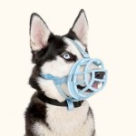 baskerville-ultra-dog-muzzle-blue