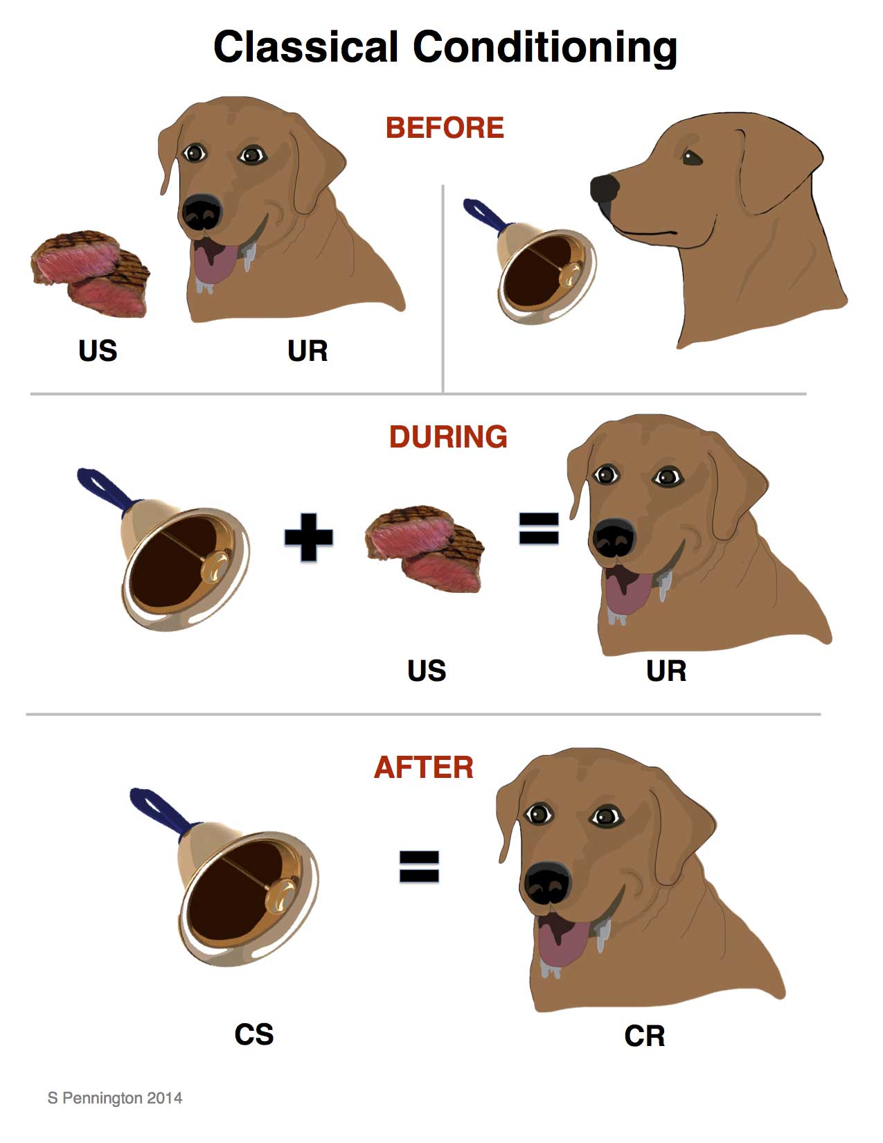 dog reactivity chart